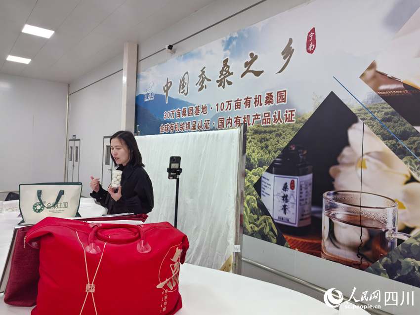丝路”：盯住小桑叶发展大思路麻将胡了app南丝路上“南(图1)